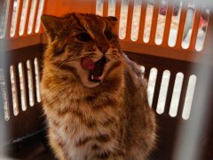 “此次救护是蓟州‘乡镇